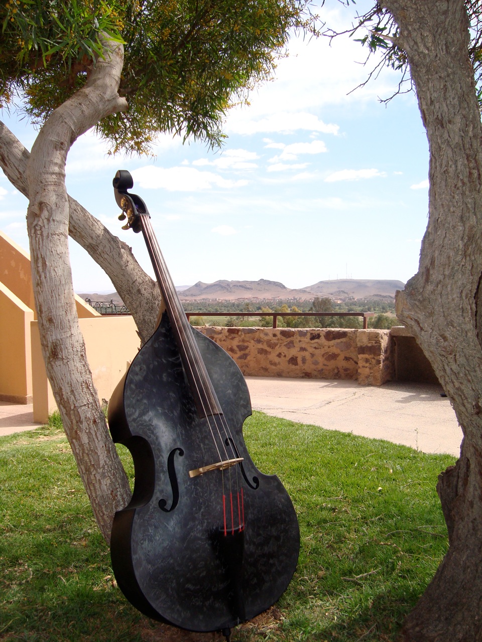 Violon sur le Sable